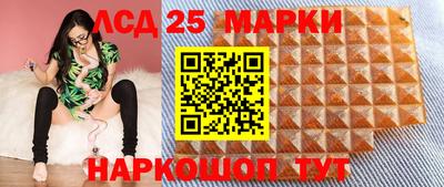 прущие грибы Будённовск