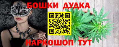 прущие грибы Будённовск