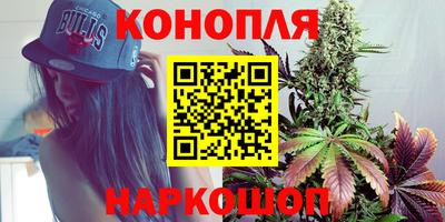 прущие грибы Будённовск