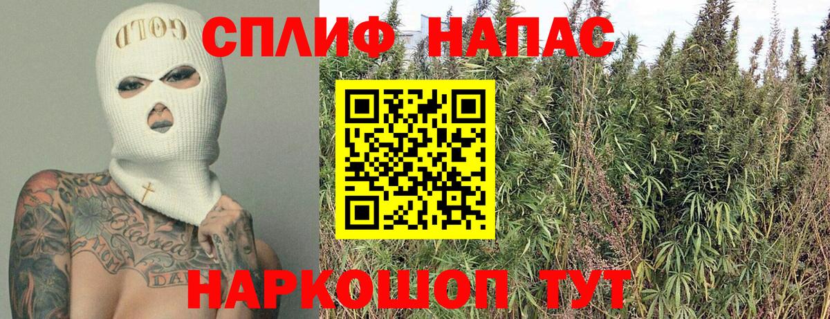 Бошки марихуана OG Kush Пенза